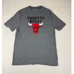 NBA Chicago Bulls T-Shirt Mens Gray Medium Graphic Short Sleeve Top